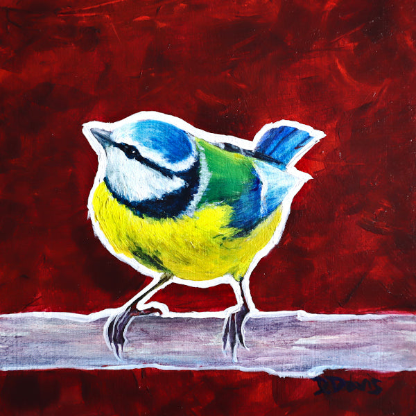 Blue Tit on Red