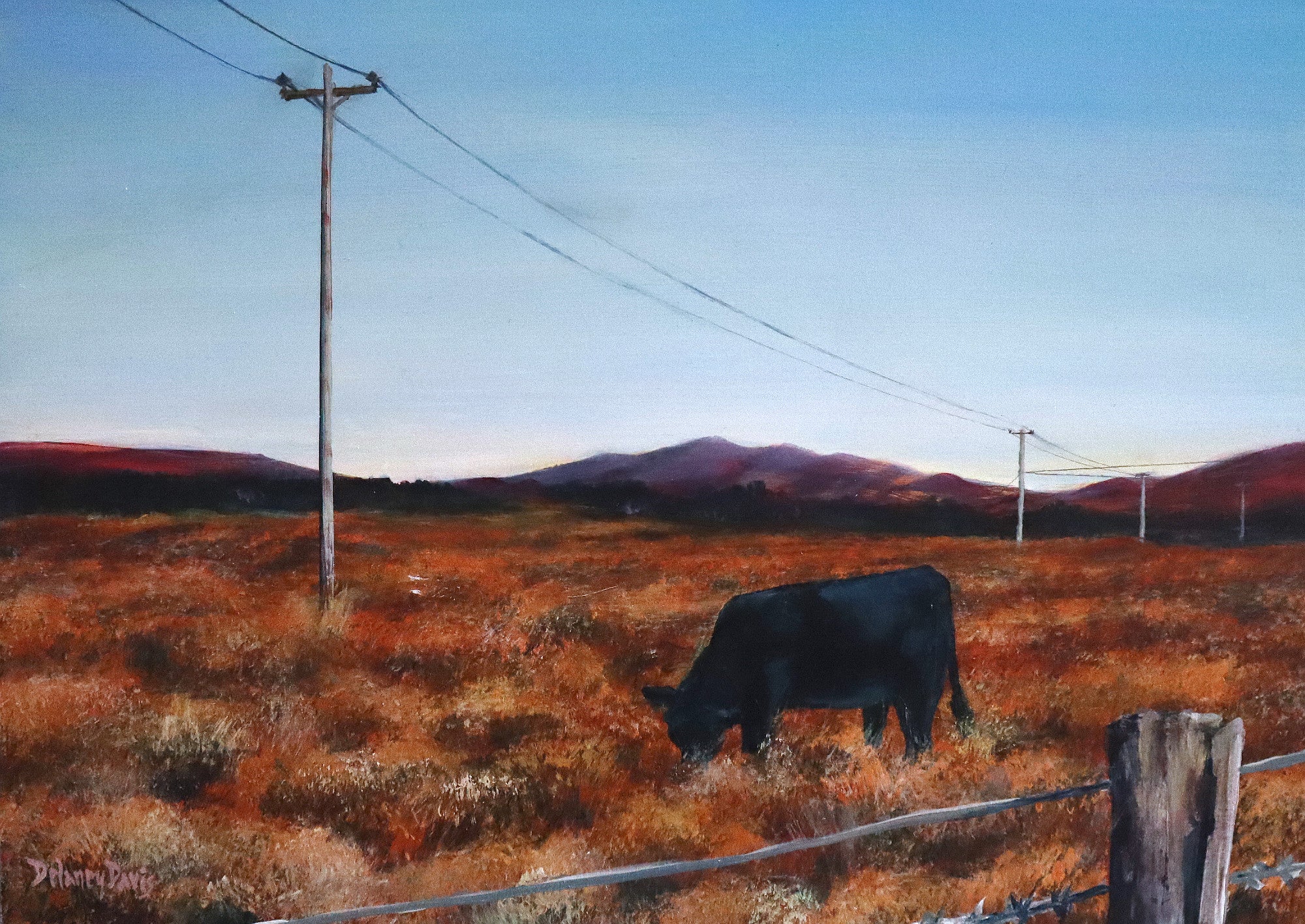 The Black Cow