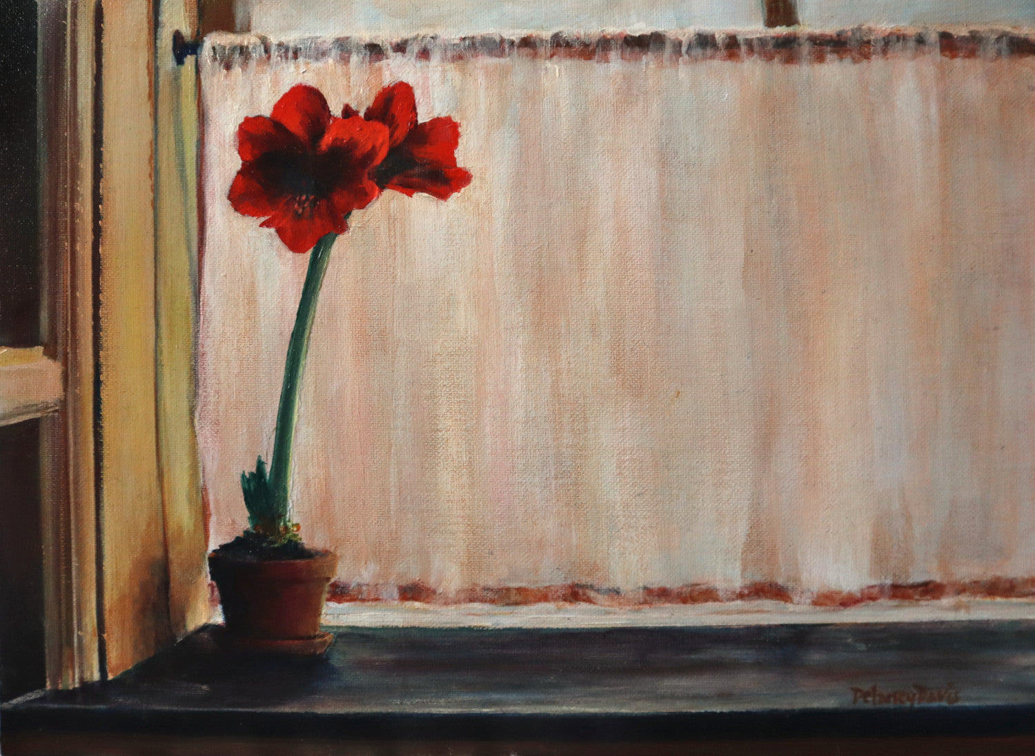 Red Flowers in the Window