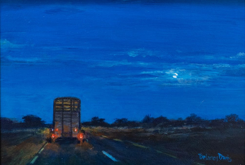 Country Road at Night