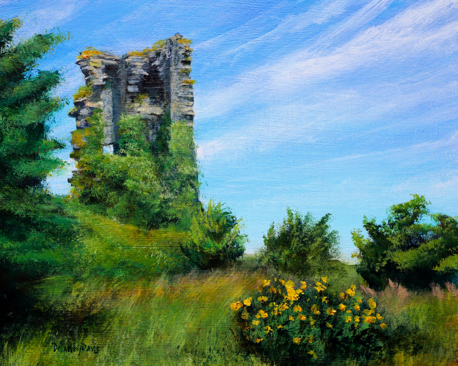 Doonbeg Castle